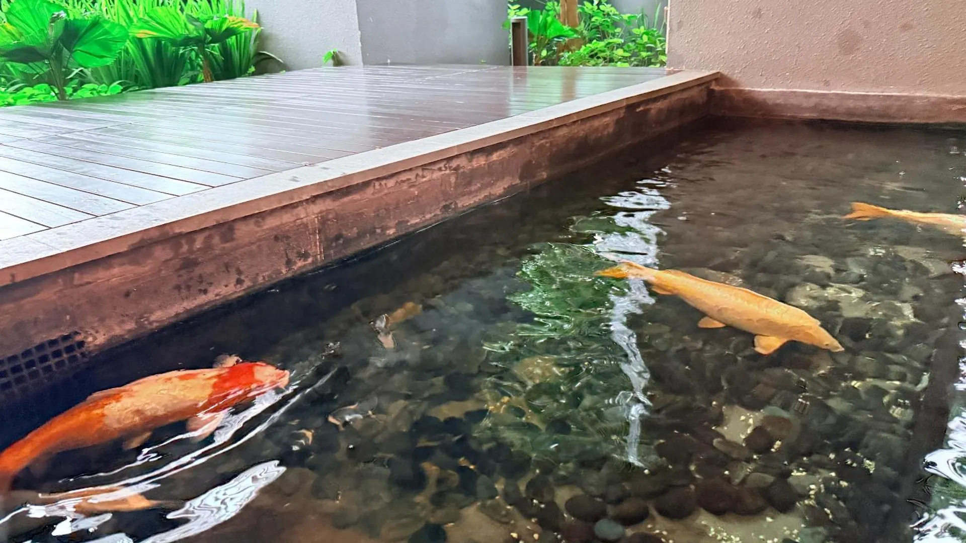 Rooftop Pool Klcc Star Residence Kuala Lumpur Malaysia